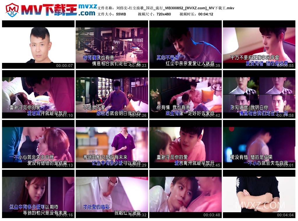 刘伟宏-红尘浪歌_国语_流行_MB300852